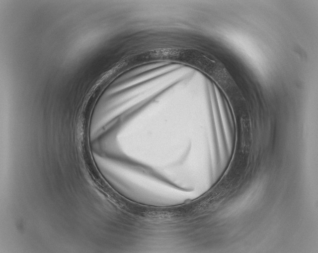 X0000115730435200912031410