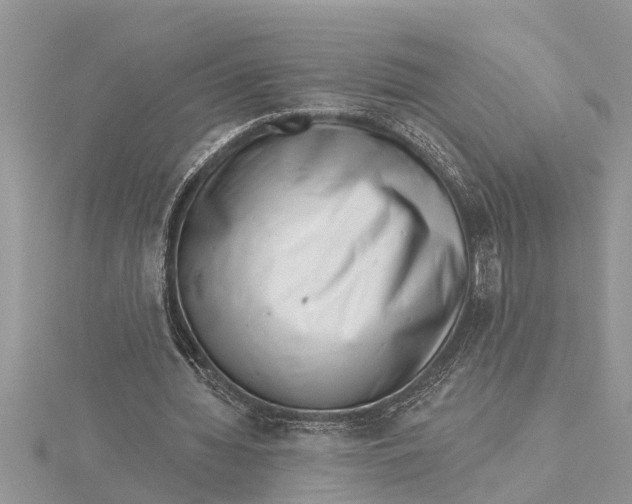 X0000115730436200912031410