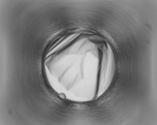 X0000115730442200912031410