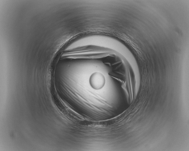 X0000115730448200912031410