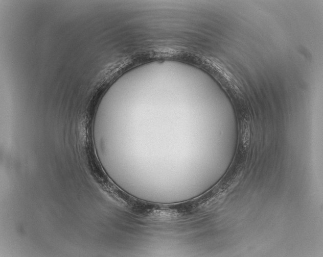 X0000115730455200912031410