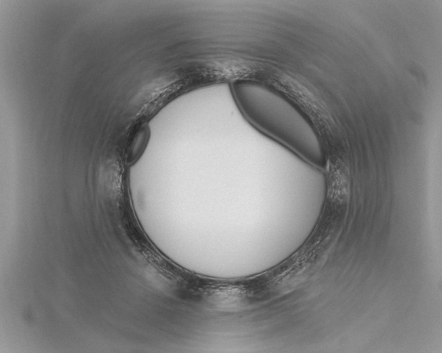 X0000115730456200912031410