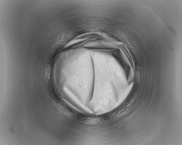 X0000115730458200912031410
