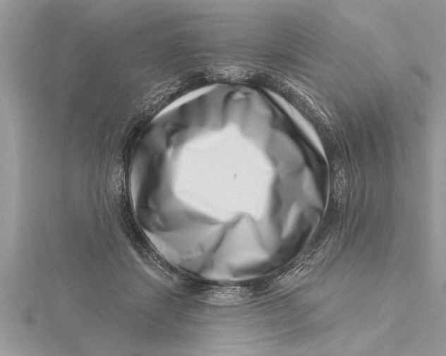 X0000115730459200912031410