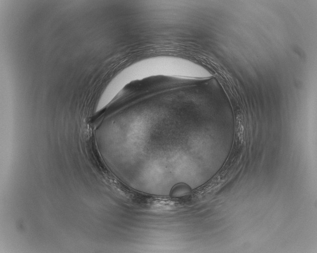 X0000115730471200912031410