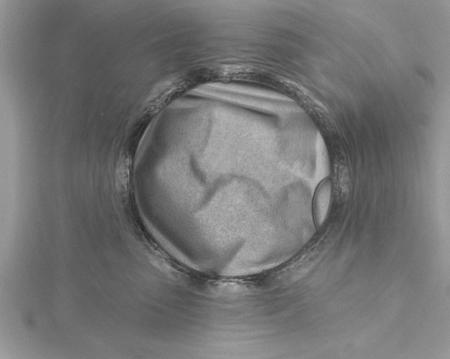 X0000115730475200912031410