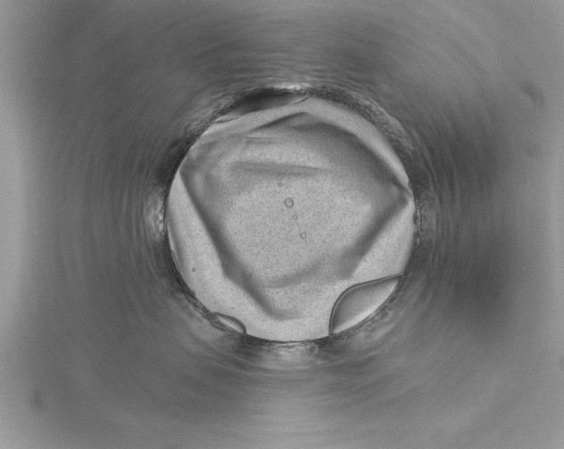 X0000115730479200912031410