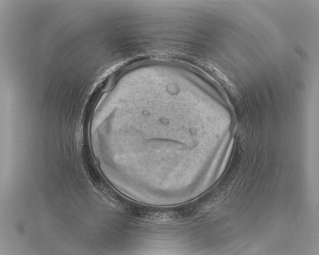 X0000115730488200912031410
