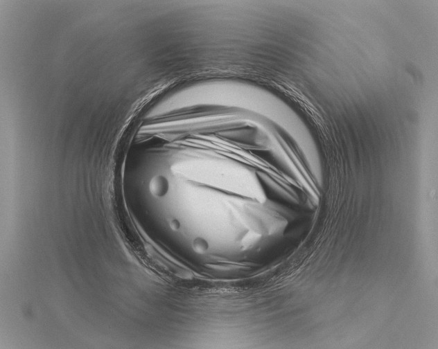 X0000115730492200912031410