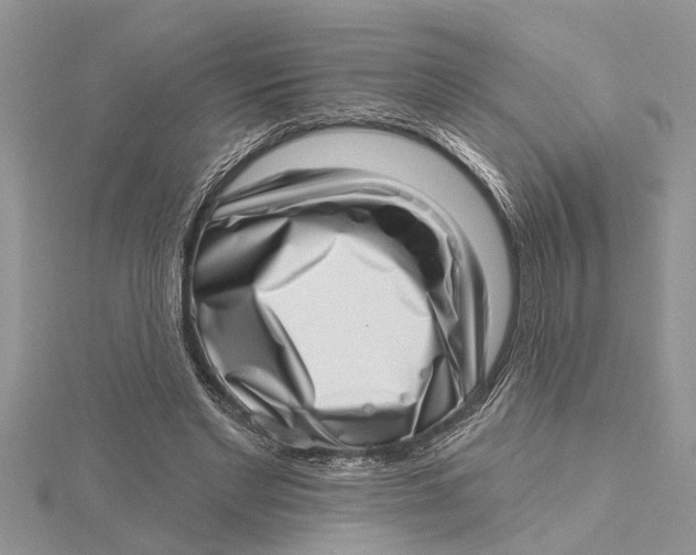 X0000115730493200912031410