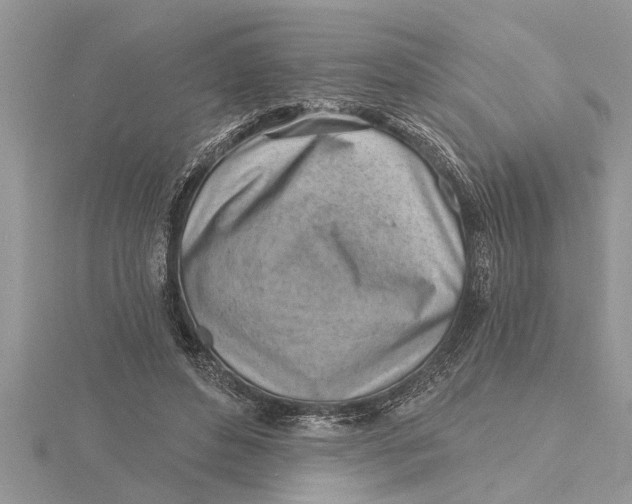 X0000115730496200912031410