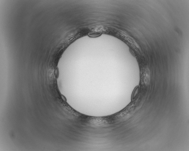 X0000115730521200912031409