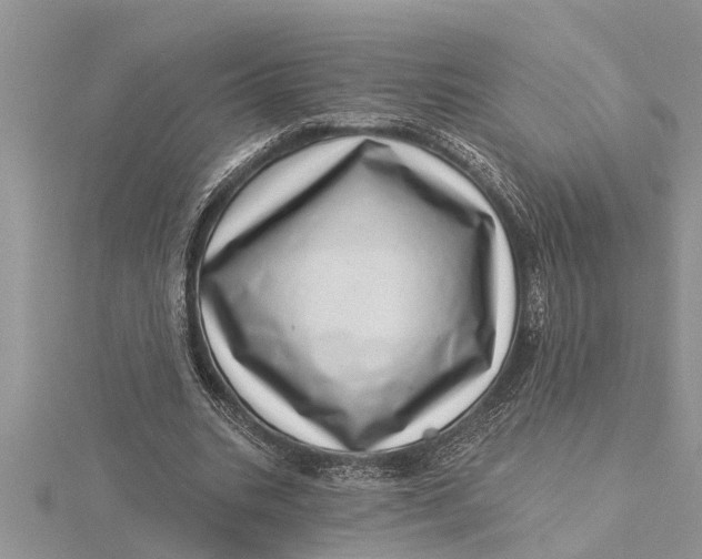 X0000115730535200912031408