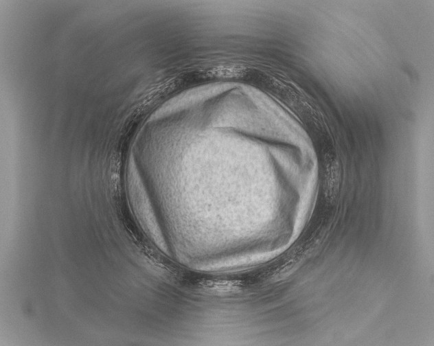 X0000115730553200912031409