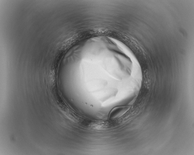 X0000115730563200912031409