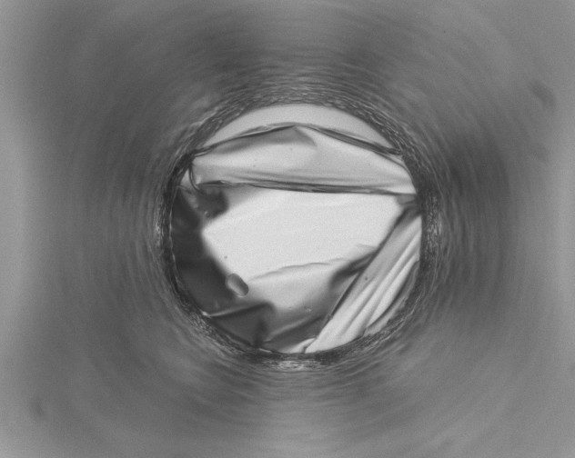 X0000115730566200912031409