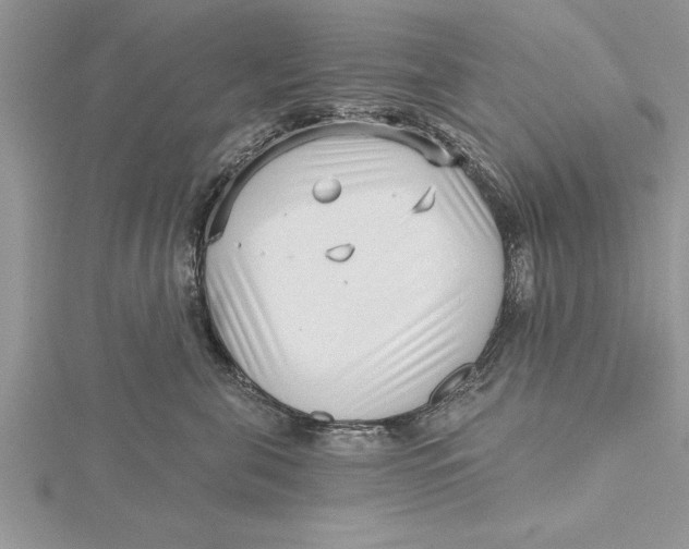X0000115730571200912031409