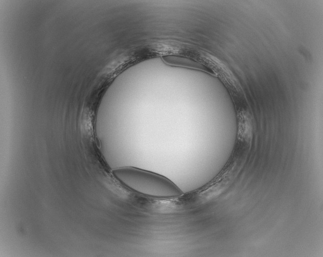 X0000115730573200912031409