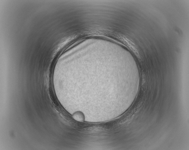 X0000115730578200912031408