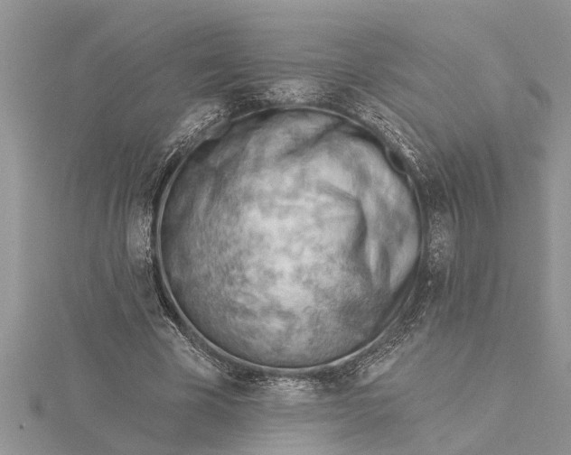 X0000115730585200912031408