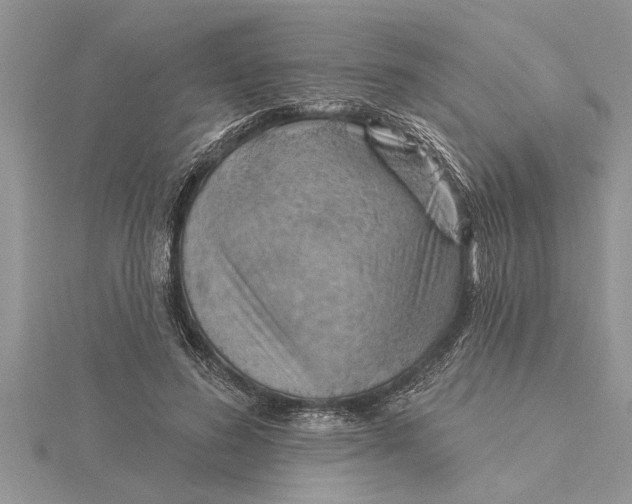 X0000115730596200912031408