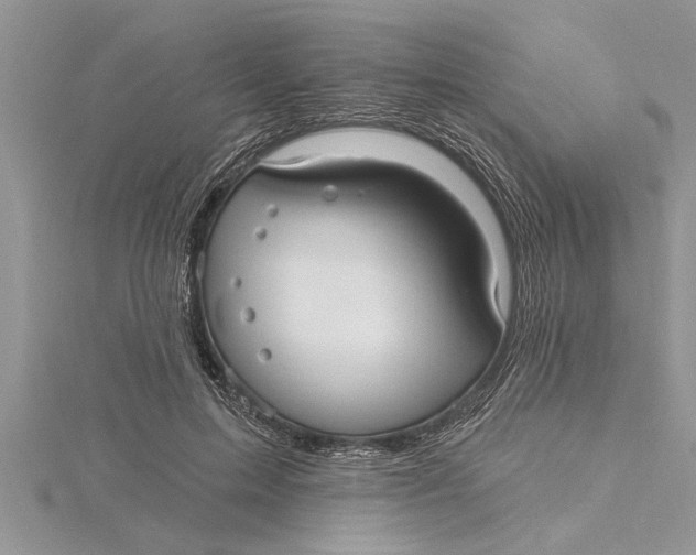 X0000115730599200912031408