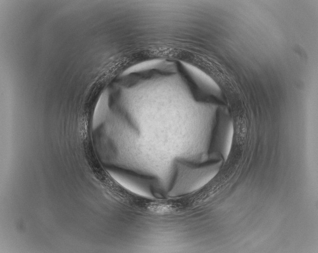 X0000115730602200912031408