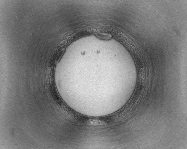 X0000115730605200912031408