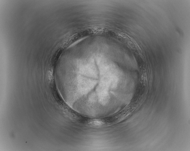 X0000115730610200912031408