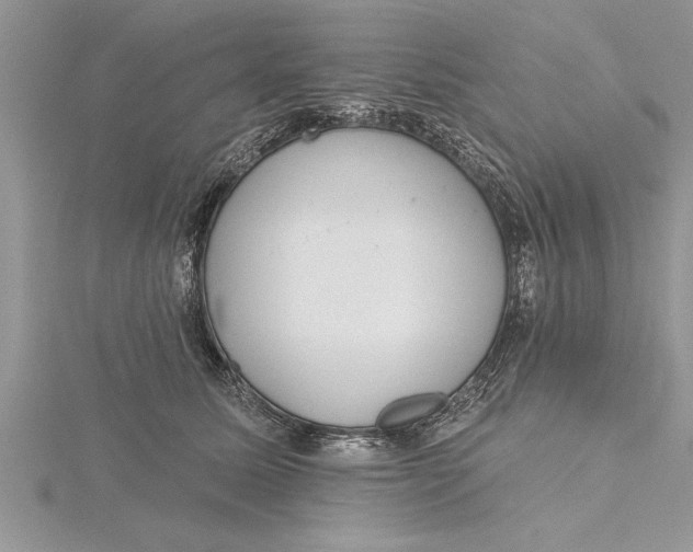 X0000115730611200912031408