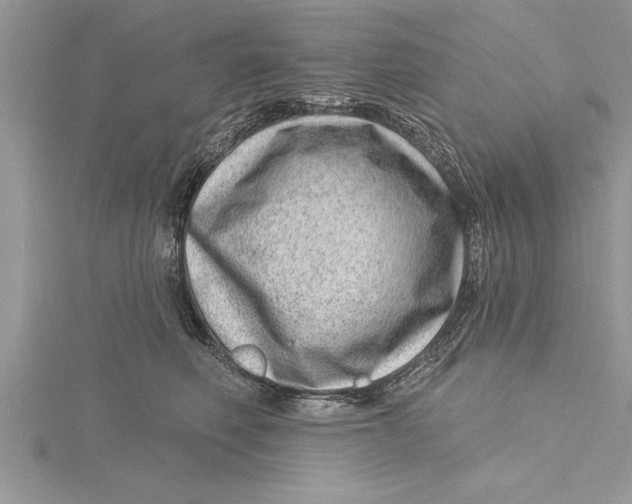 X0000115730614200912031408