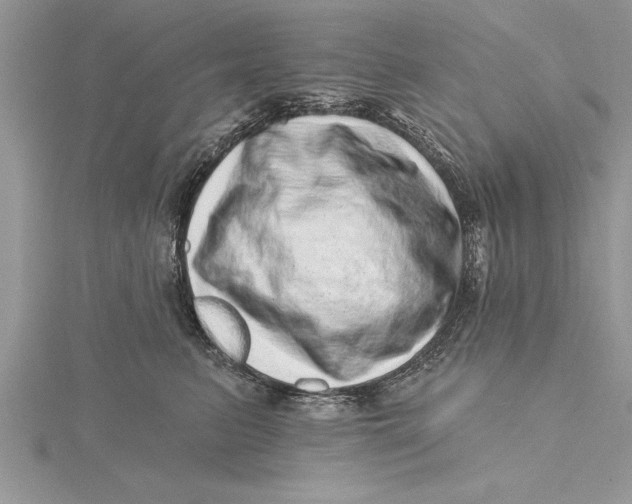 X0000115730615200912031408