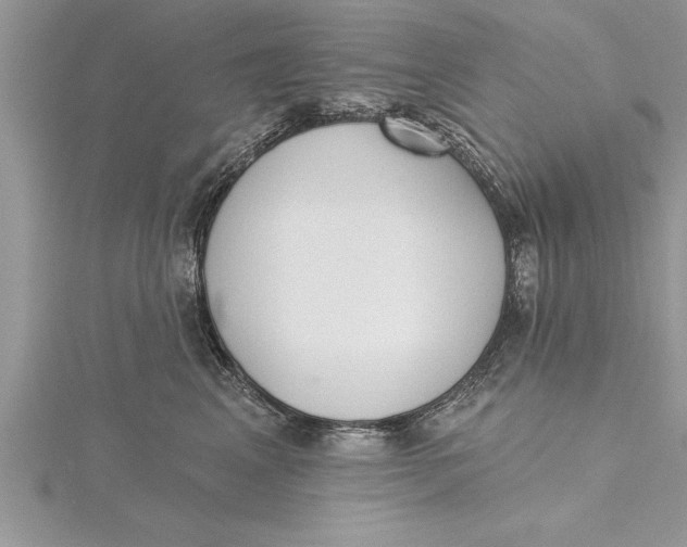 X0000115730617200912031408