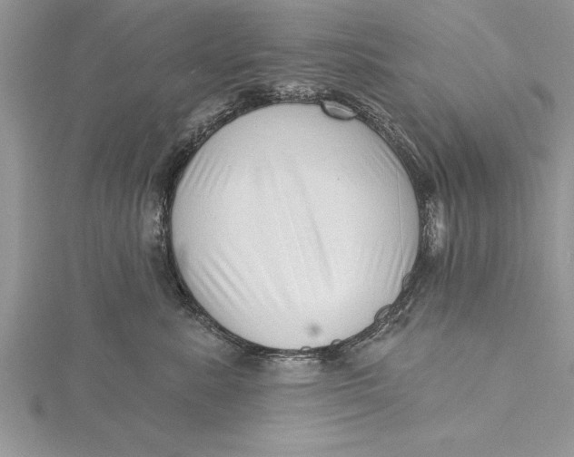 X0000115730619200912031408