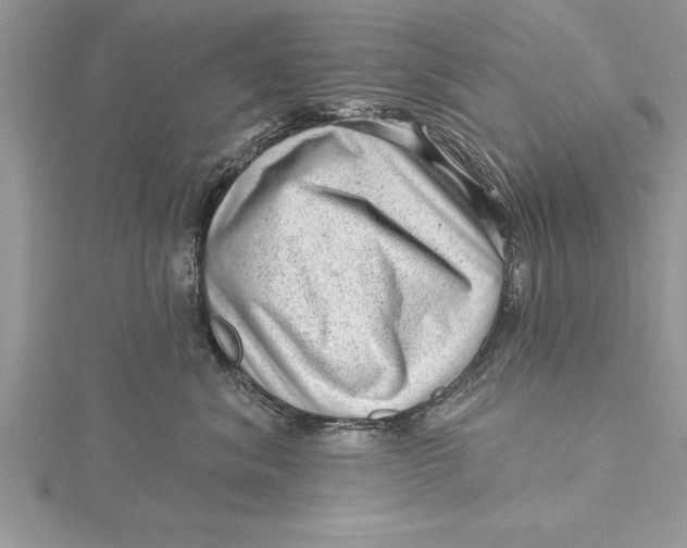 X0000115730620200912031408