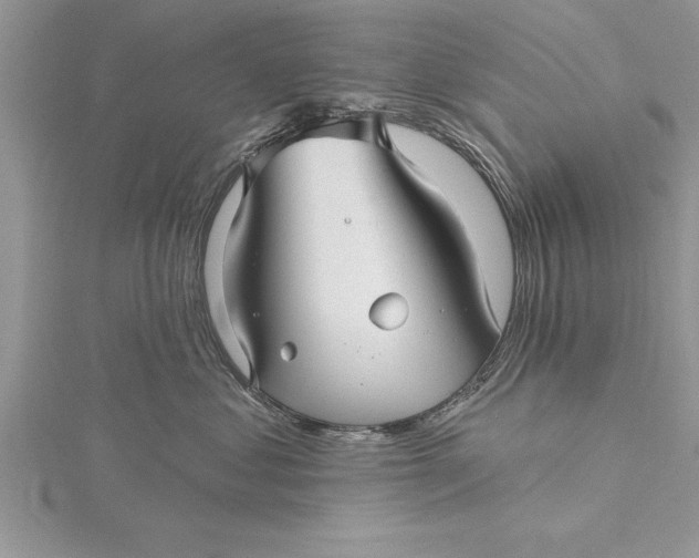 X0000115730621200912031408