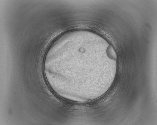 X0000115730625200912031407