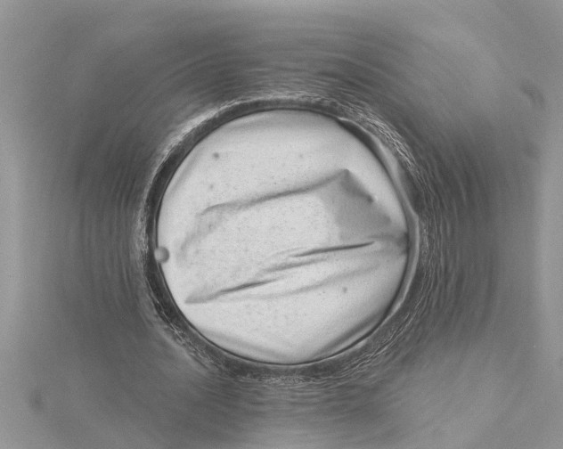 X0000115730628200912031407