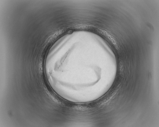 X0000115730633200912031407