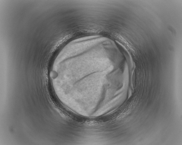 X0000115730634200912031407