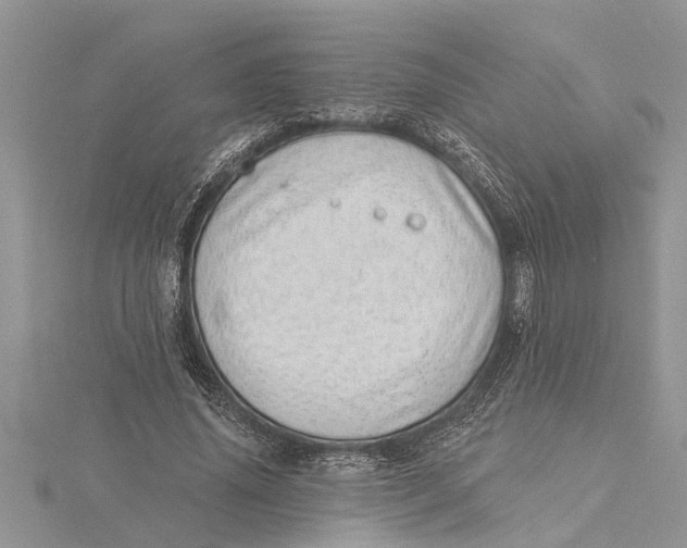 X0000115730636200912031407