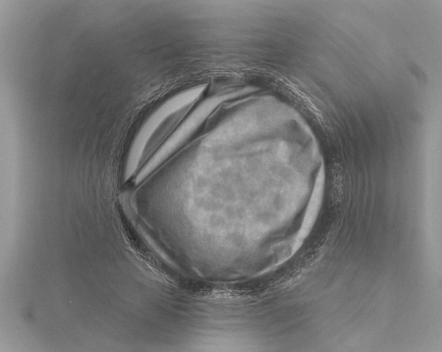 X0000115730641200912031407