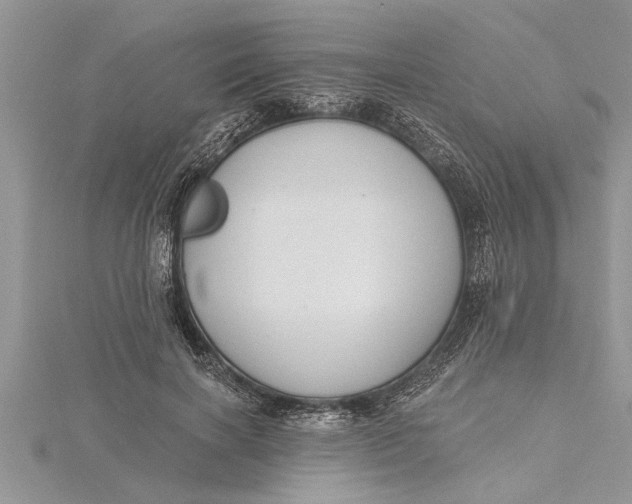 X0000115730646200912031407