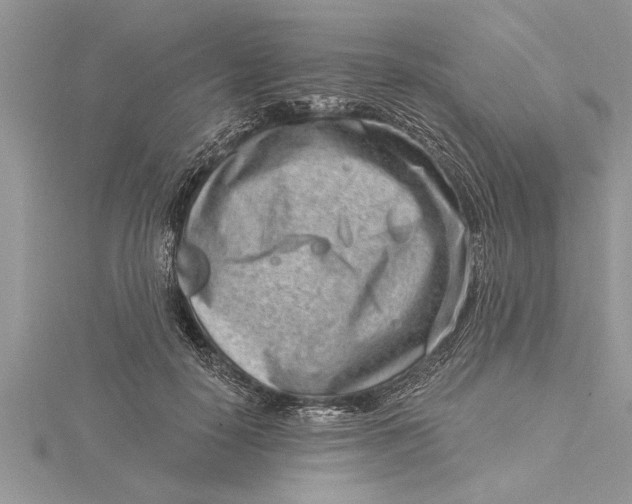 X0000115730650200912031407