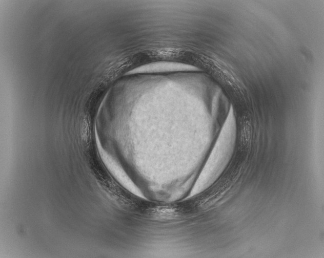 X0000115730651200912031407