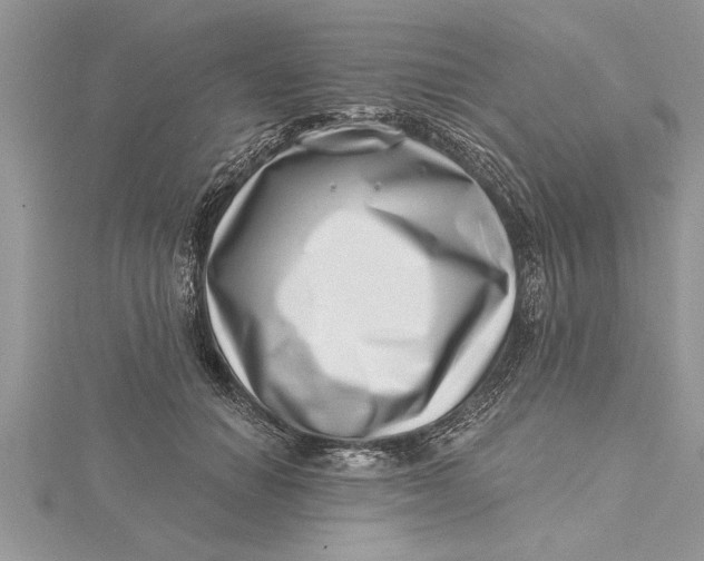 X0000115730654200912031407
