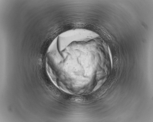 X0000115730655200912031407