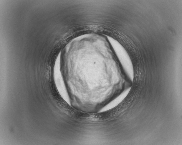 X0000115730656200912031407