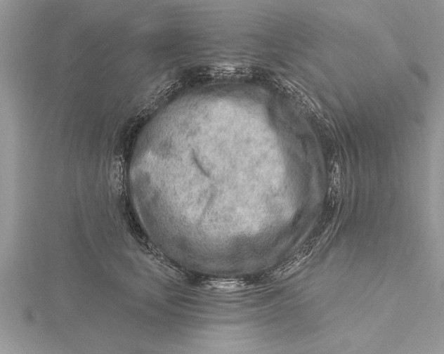 X0000115730659200912031407