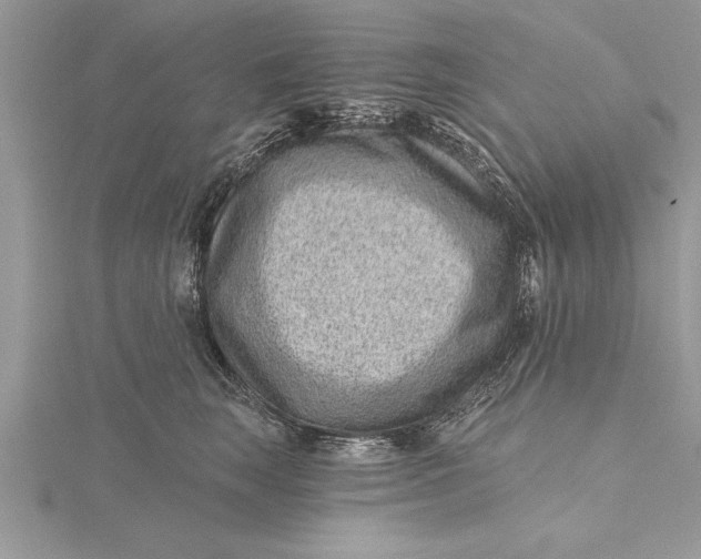 X0000115730663200912031407